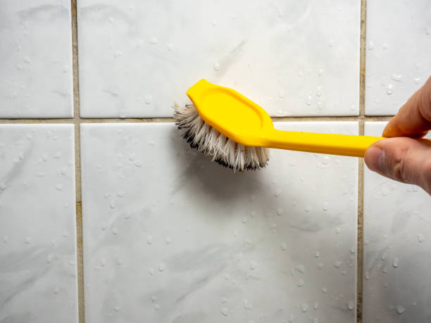Best Emergency Mold Removal  in New Brighton, MN